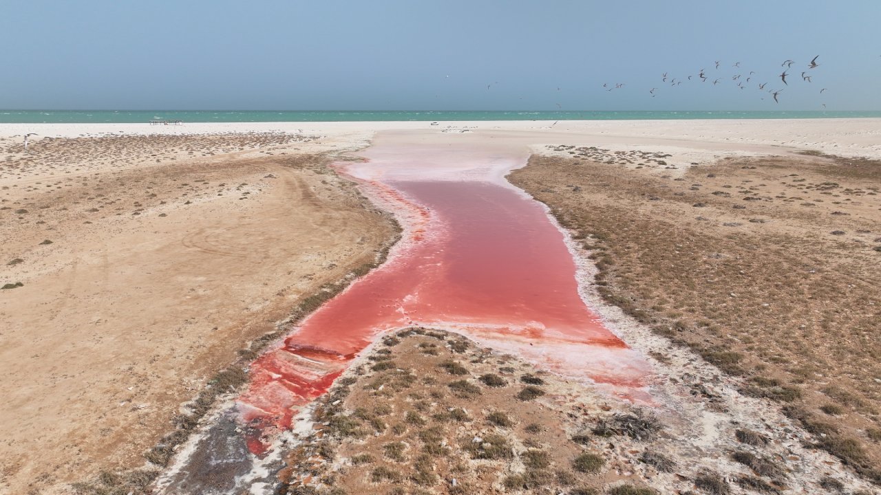ولاية الجازر